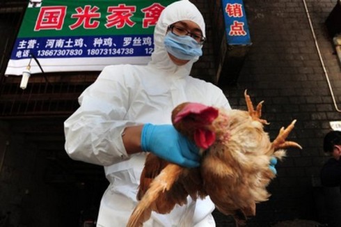 Trung Quốc: Tung tin đồn nhảm về cúm H7N9, 12 người bị bắt - ảnh 1