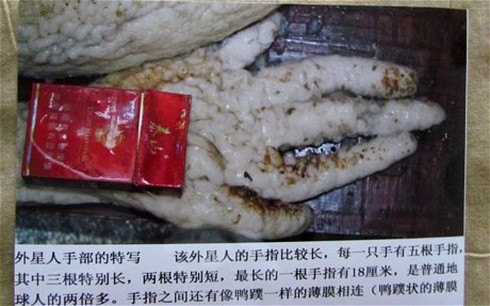 Trung Quốc: Bị bắt vì