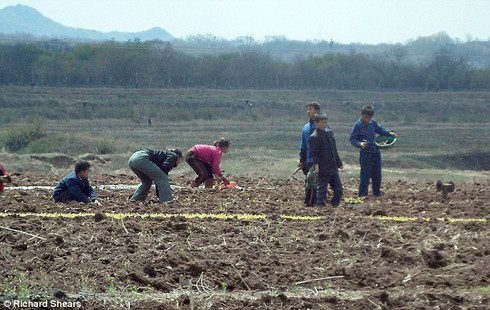 Triều Tiên nhận được 6 triệu USD viện trợ từ Liên Hợp Quốc - ảnh 1