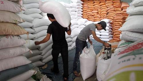 Việt Nam thắng thầu bán 500.000 tấn gạo giá rẻ cho Philippines - ảnh 1