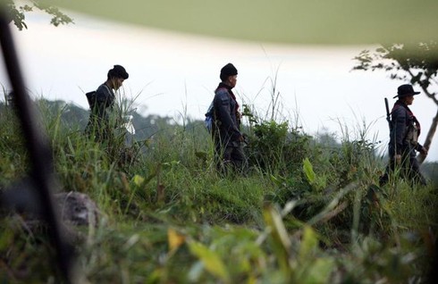 Lính Thái Lan bị nghi bắn chết 15 người Campuchia đi săn gỗ quý - ảnh 1