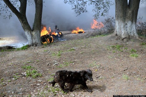 Hiện trường vụ đấu súng dữ dội tại miền đông Ukraine - ảnh 6