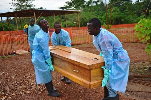 Phát hiện mới về nguồn gốc phát tán virus Ebola - ảnh 1