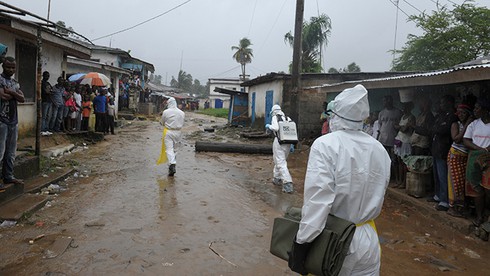 Phát hiện mới về nguồn gốc phát tán virus Ebola - ảnh 2