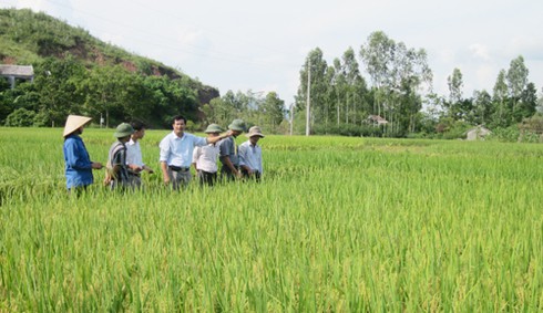 Quảng Ninh đẩy mạnh phát triển nông lâm nghiệp - ảnh 1