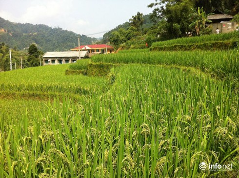 Bà Phạm Chi Lan: Thách thức sẽ ập đến càng nan giải hơn - ảnh 1