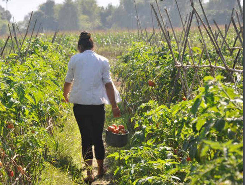 Hỗ trợ nạn nhân bị mua bán hòa nhập cộng đồng: Bài học từ Yên Bái - ảnh 1