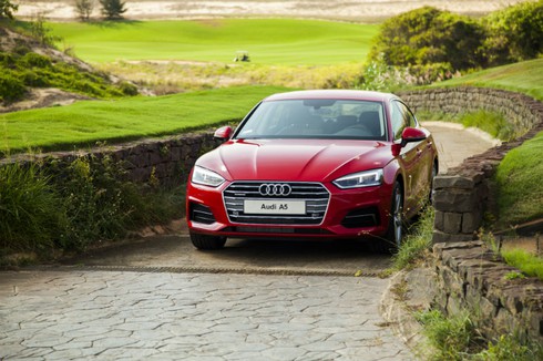 Công Vinh bảnh bao bên vợ trong buổi ra mắt mẫu xe mới - ảnh 4