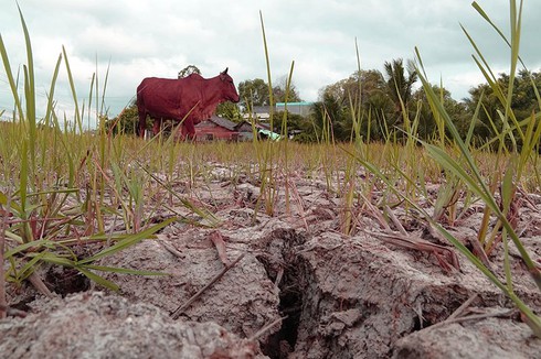 Shop TIN 15/3: Bộ GD&ĐT thất hứa tới lúc nào? - ảnh 13