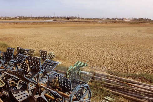 Shop TIN 17/3: Tiêu 3,5 triệu USD, ra một kết luận nguy hiểm, thiếu trách nhiệm. - ảnh 3