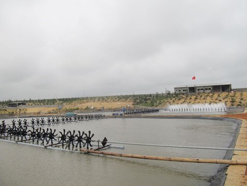 Shop TIN 19/3: Đốt lúa tế trời/ Sợ Bộ trưởng hứa suông... - ảnh 6