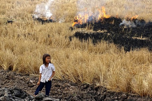 Shop TIN 19/3: Đốt lúa tế trời/ Sợ Bộ trưởng hứa suông... - ảnh 1