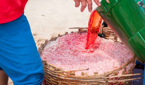 Shop TIN 3/4: Dân đợi lời xin lỗi và hành động thật của Bộ trưởng Cao Đức Phát - ảnh 8