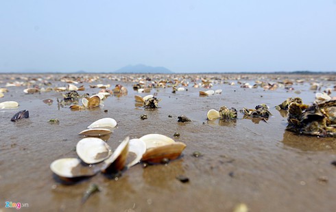 Shop TIN 28/4: Vì sao Thủ tướng buồn? Con tắm biển ở đâu? - ảnh 7