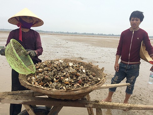 Shop TIN 28/4: Vì sao Thủ tướng buồn? Con tắm biển ở đâu? - ảnh 10