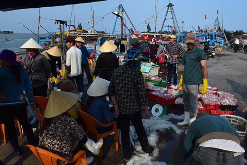 Quảng Bình: 10 tấn cá đầu tiên được thu mua tại cảng Gianh - ảnh 1