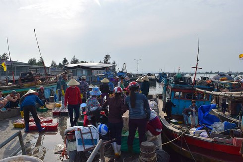 Quảng Bình: 10 tấn cá đầu tiên được thu mua tại cảng Gianh - ảnh 4