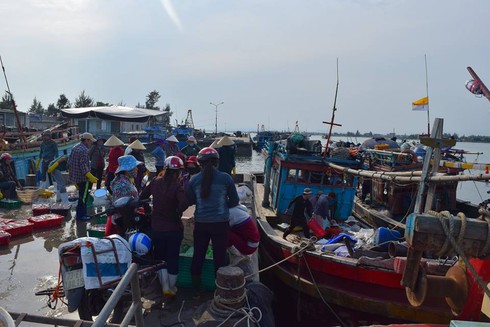 Quảng Bình: 10 tấn cá đầu tiên được thu mua tại cảng Gianh - ảnh 5