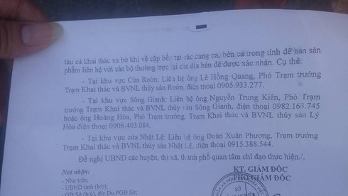 Quảng Bình: 10 tấn cá đầu tiên được thu mua tại cảng Gianh - ảnh 9