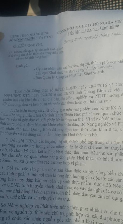 Quảng Bình: 10 tấn cá đầu tiên được thu mua tại cảng Gianh - ảnh 8