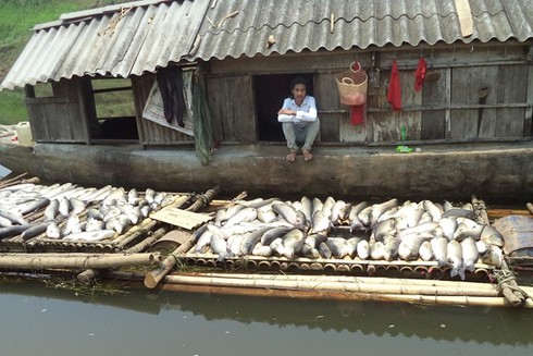 Shop TIN 15/5: Nguyên nhân cá chết: Đủ cơ sở kết luận...công bố sau - ảnh 8