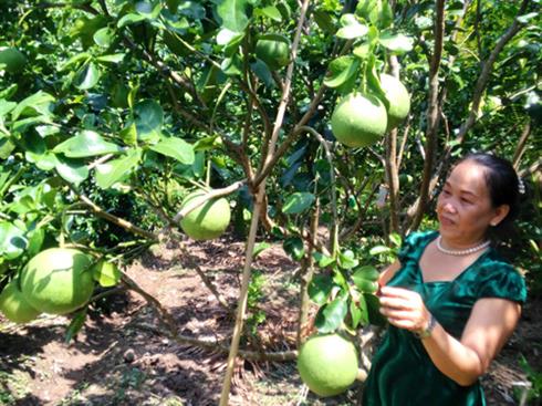Shop TIN ngày 21/6: Phi công sống sót vụ rơi máy bay ở Hòa Lạc: Tôi rất đau xót. - ảnh 18