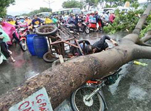 Shop TIN 28/6: DÂN CHỌN CÁ, KHÔNG CHỌN NHÀ MÁY GIẤY TRUNG QUỐC - ảnh 11