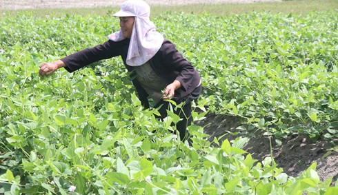 Shop TIN 10/7: ĐUỔI VIỆC 3 BẢO VỆ TRONG CLIP CHẶN XE CỨU THƯƠNG - ảnh 4