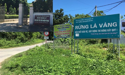 Shop TIN 10/8: Mời gọi nhà đầu tư Nhật Bản vào các dự án hạ tầng giao thông lớn - ảnh 9