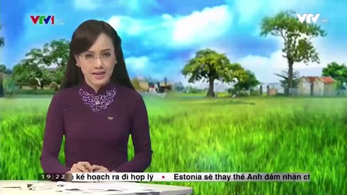 Shop TIN 21/8: Thủ tướng: Kiên quyết đóng cửa rừng để cứu rừng - ảnh 6