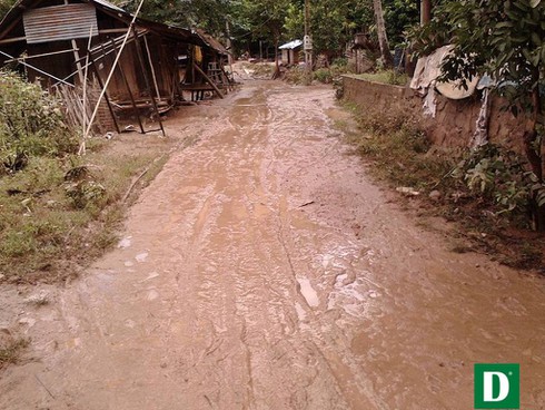 Shop TIN 21/8: Thủ tướng: Kiên quyết đóng cửa rừng để cứu rừng - ảnh 17