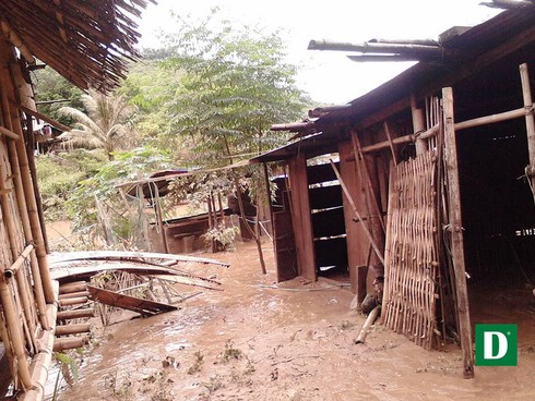 Shop TIN 21/8: Thủ tướng: Kiên quyết đóng cửa rừng để cứu rừng - ảnh 16