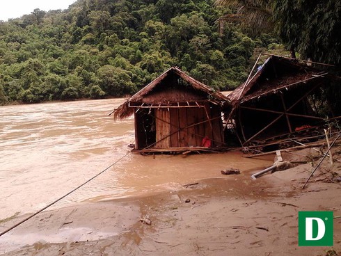 Shop TIN 21/8: Thủ tướng: Kiên quyết đóng cửa rừng để cứu rừng - ảnh 14