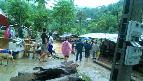 Shop TIN 21/8: Thủ tướng: Kiên quyết đóng cửa rừng để cứu rừng - ảnh 18