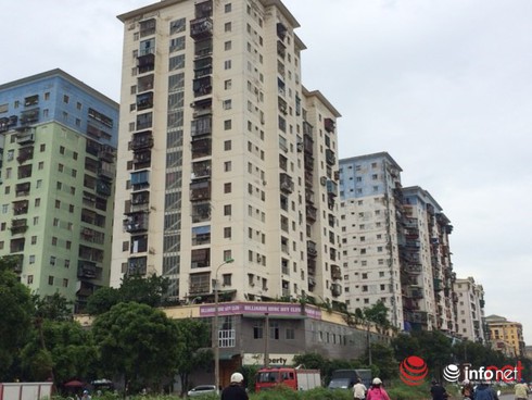 Shop TIN 21/8: Thủ tướng: Kiên quyết đóng cửa rừng để cứu rừng - ảnh 8