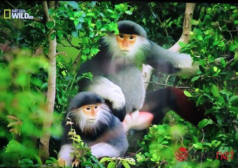 Shop TIN 24/8: LÀO CAI: Số người chết thực tế cao gấp nhiều lần số liệu báo cáo - ảnh 5