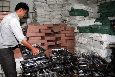 Shop TIN 27/8:Hải sản ở các vùng biển có sự cố môi trường không nên sử dụng... - ảnh 7