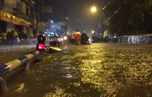 Shop TIN 27/8:Hải sản ở các vùng biển có sự cố môi trường không nên sử dụng... - ảnh 12