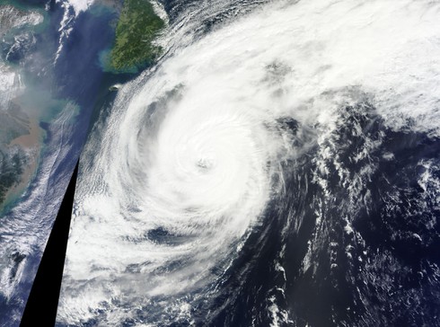 Nhìn lại thế giới trong tháng 10 qua ống kính nhà báo - ảnh 5