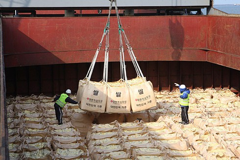 Hàn Quốc viện trợ cho trẻ sơ sinh Triều Tiên 20 tấn khoai lang - ảnh 1