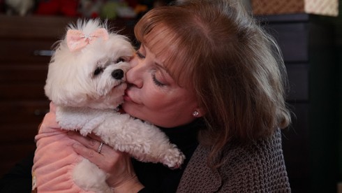 Trao thừa kế 1,5 triệu USD cho chó cưng - ảnh 3