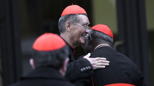 Hồng y Việt Nam đã tới Vatican dự bầu Giáo hoàng - ảnh 1
