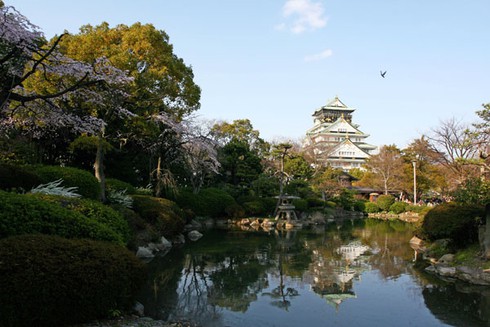 Ngắm hoa anh đào ở thành cổ Osaka - ảnh 4