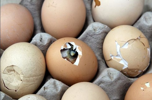 Trung Quốc: Nắng nóng kinh hoàng, dân rán trứng không cần bếp ngoài phố - ảnh 7