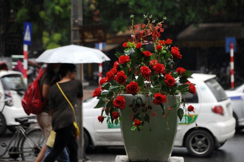Hà Nội mưa bất ngờ, phố lại thành sông - ảnh 3