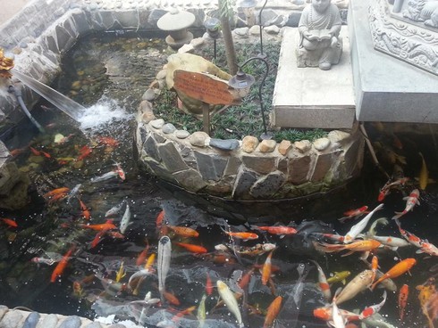 Sài Gòn ngày đầu năm: Phố vắng tanh, Chùa tấp nập - ảnh 14