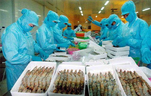 Hội chợ Triển lãm Quốc tế Thủy sản Việt Nam – Vietfish 2014 - ảnh 2