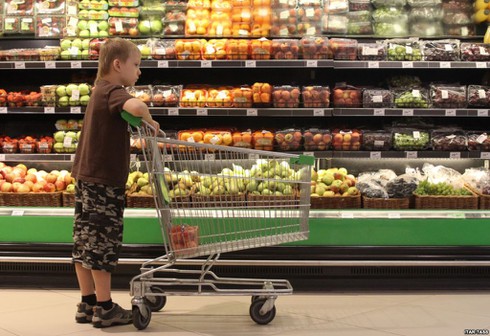 Tổng thống Putin trả đũa EU, dân Nga thiệt hại gì? - ảnh 1