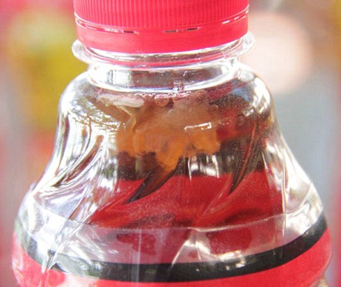 Con ruồi trong chai nước ngọt: Tân Hiệp Phát nên xử lý khủng hoảng thế nào? - ảnh 1