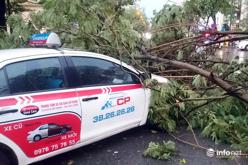 Tôi cần sự an toàn - ảnh 2